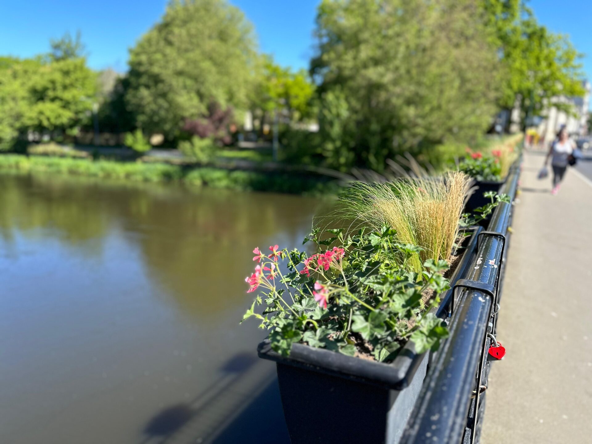 Kolorowe donice znów ozdobią nie jeden, a dwa mosty nad Parsętą